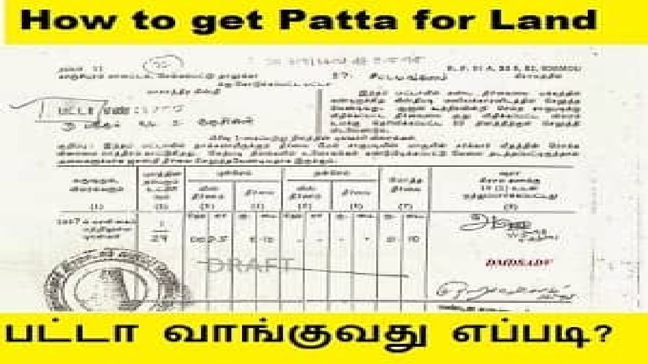 Patta will come into effect immediately after the registration