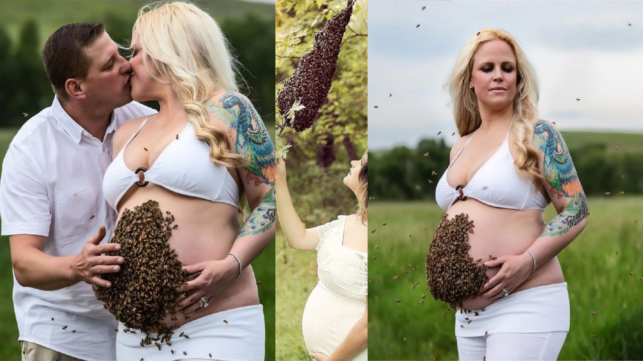 Honey nest on top of pregnancy nest - photo shoot twists