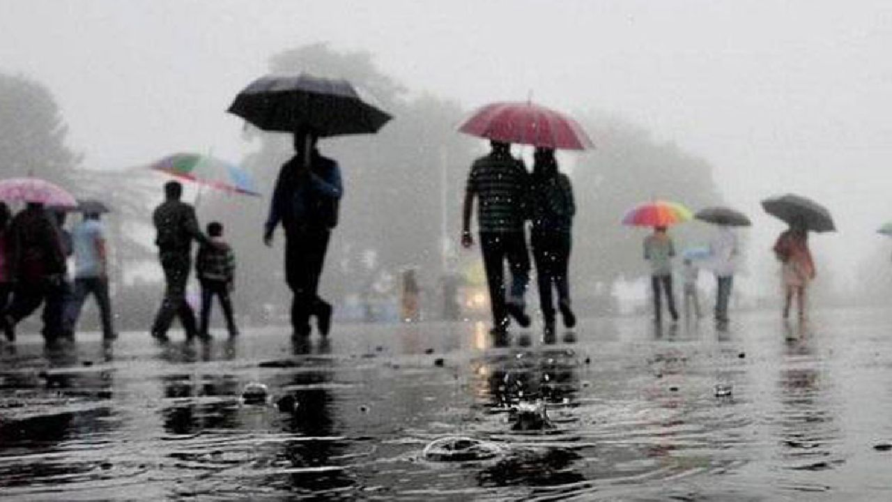 Chance of rain in Tamil Nadu in next 24 hours