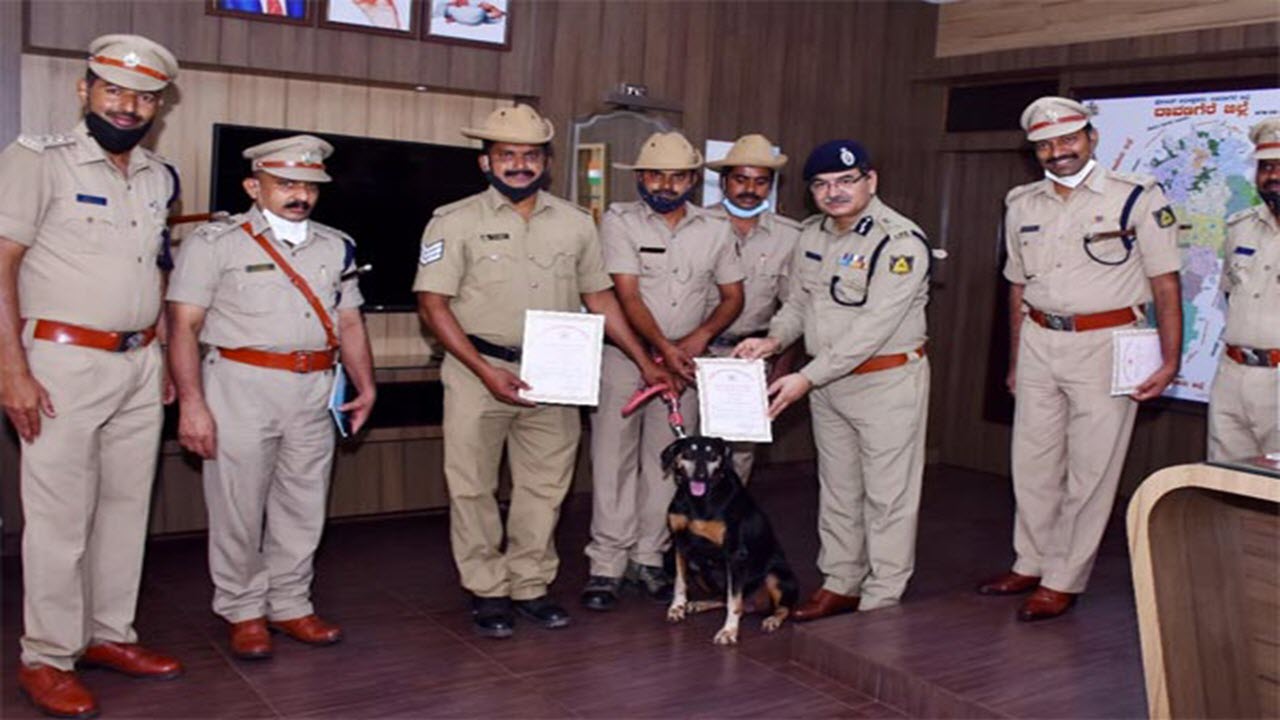 The sniffer dog that chased twelve kilometers away and found the killer