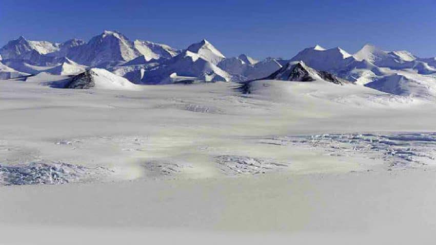 The mystery of Antarctica turning green