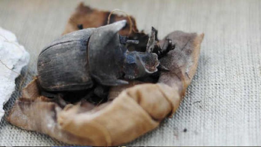 Hundreds of mummies have been found in Egypt, collapsing mysterious knots