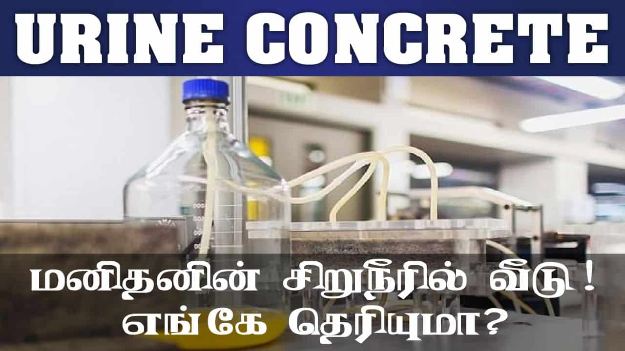 மனிதனின் சிறுநீரில் வீடு ! எங்கே தெரியுமா ? Human Urine Concrete Home