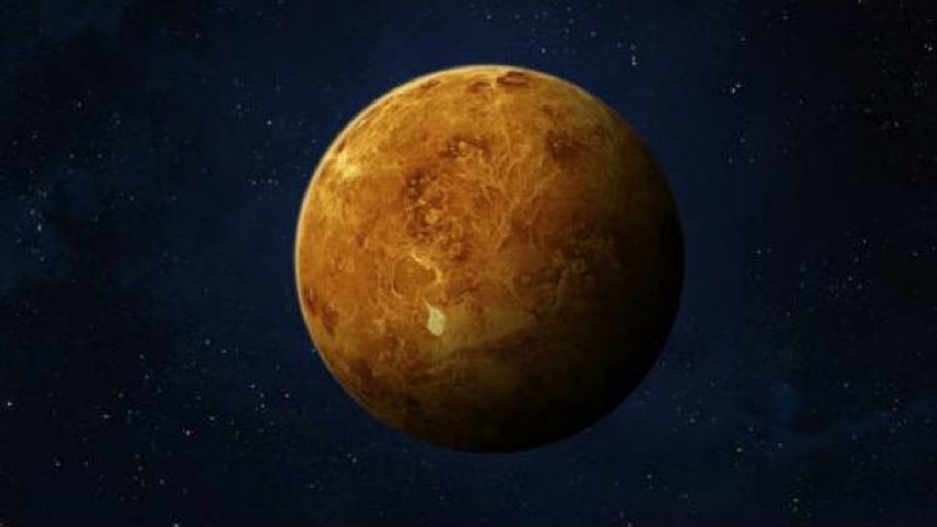 Life on Venus planet
