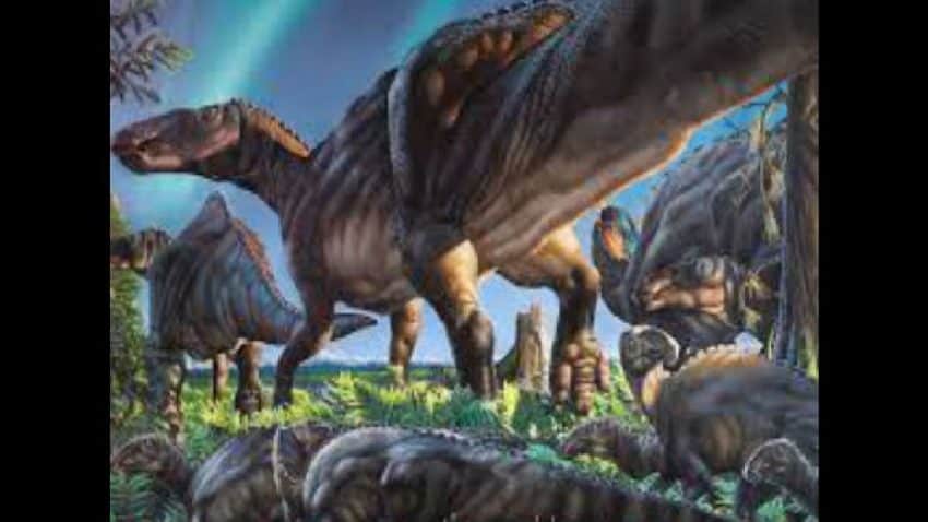 Dinosaur DNA discovered 75 million years ago