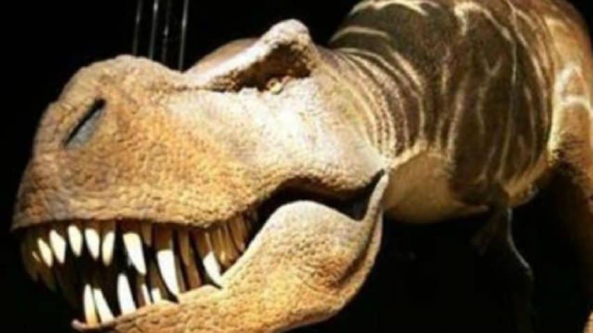 Dinosaur DNA discovered 75 million years ago