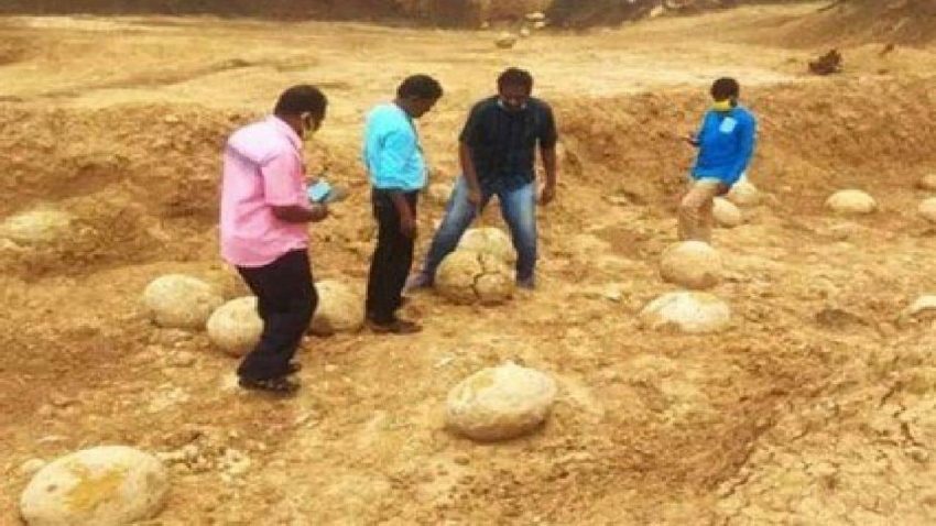 Dinosaur eggs have been found near Perambalur in Tamil Nadu