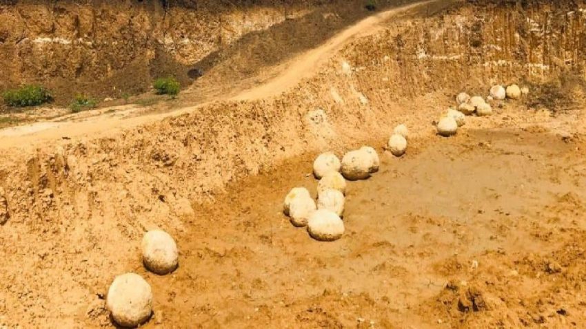 Dinosaur eggs have been found near Perambalur in Tamil Nadu