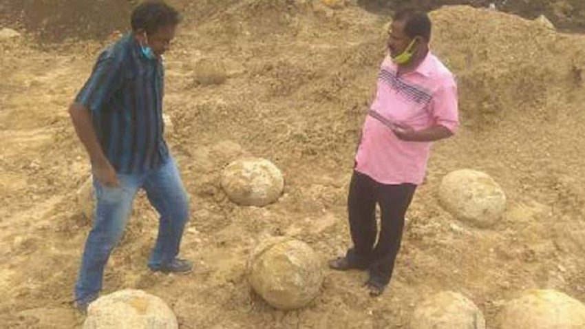 Dinosaur eggs have been found near Perambalur in Tamil Nadu