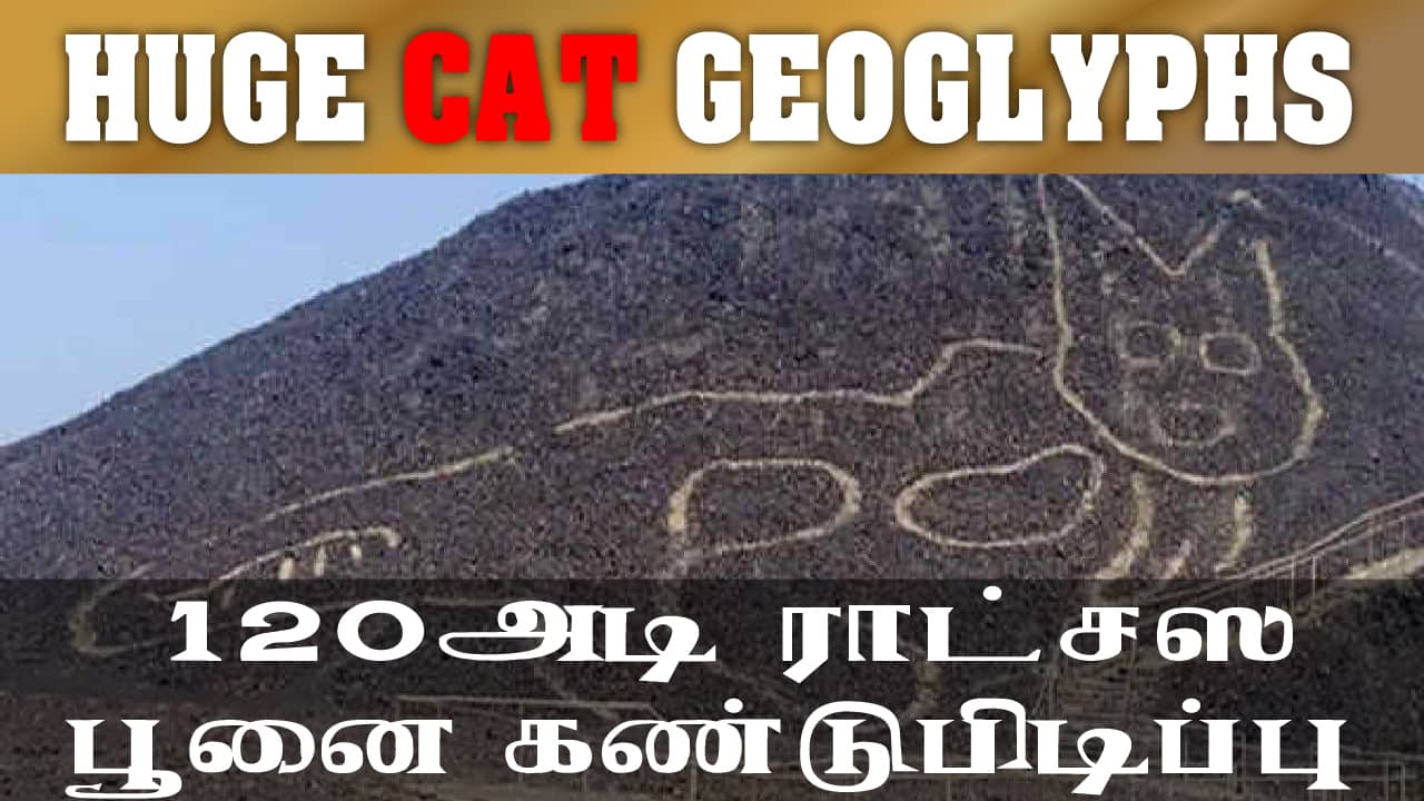 120 அடி ராட்சஸ பூனை கண்டுபிடிப்பு | Huge cat found etched into desert in Peru | Cat Geoglyphs