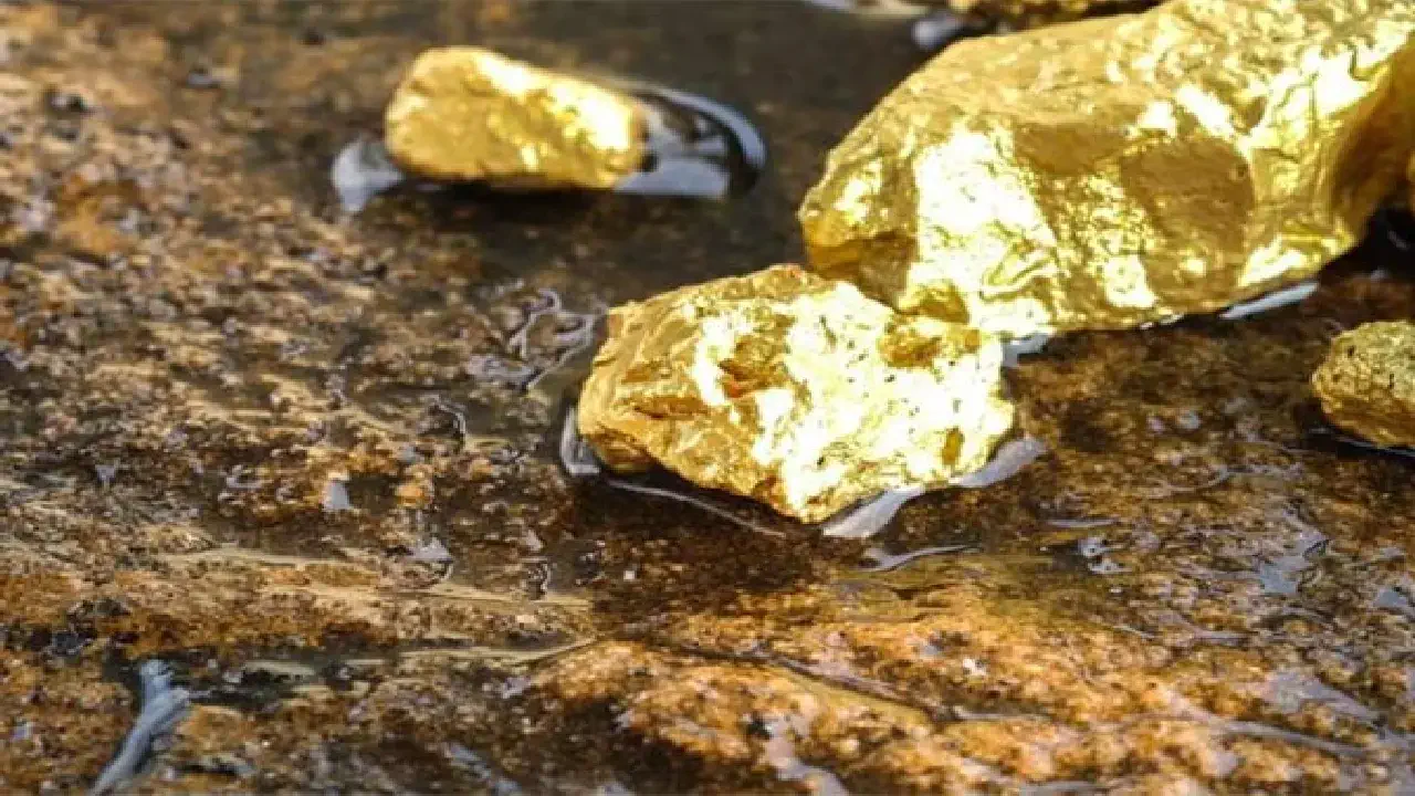 Discovered the largest gold treasure in Turkey!!!