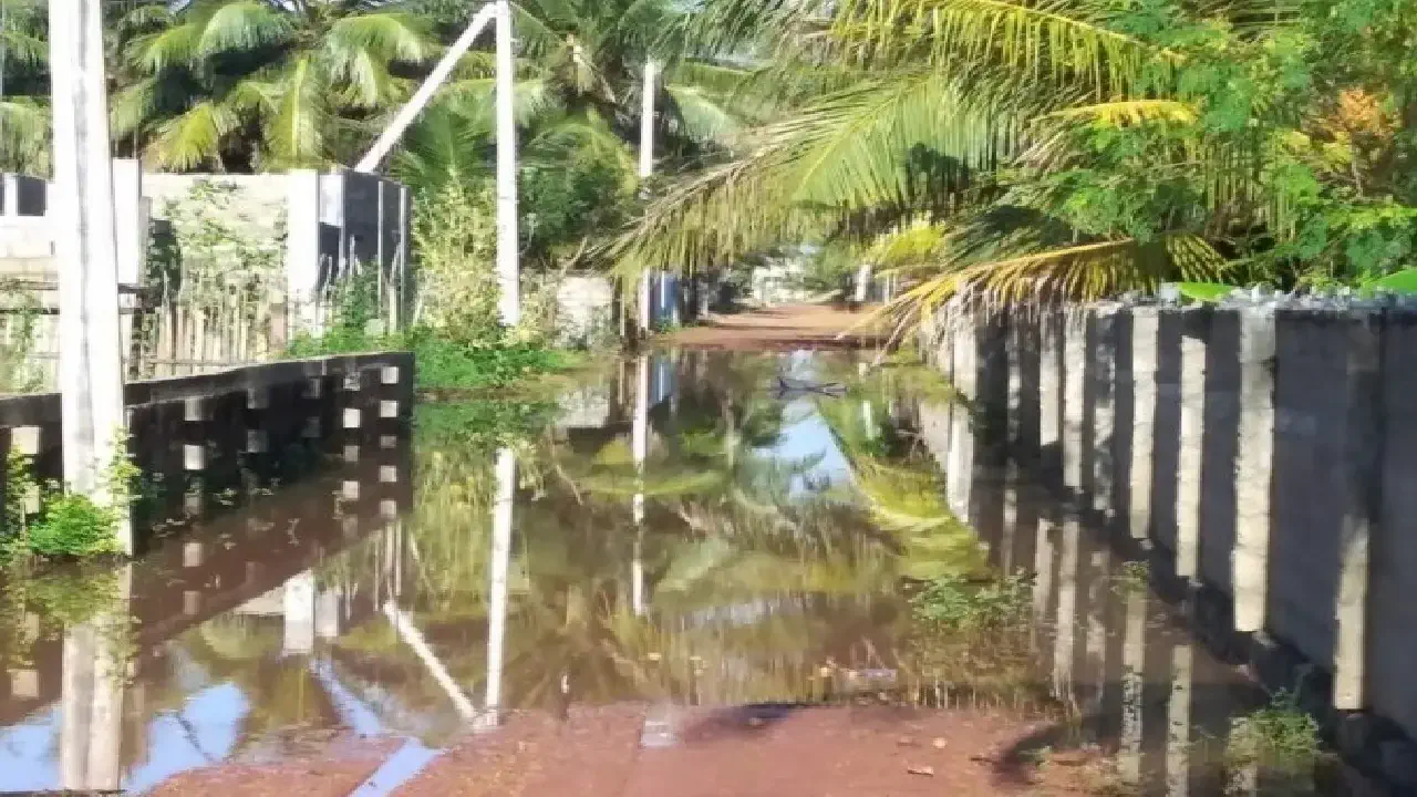 The incident took place in the style of missing the road in Mannar and missing the bowl of comedian Vadivelu !!!