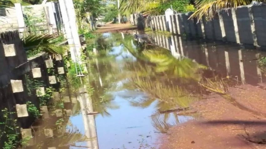 The incident took place in the style of missing the road in Mannar and missing the bowl of comedian Vadivelu !!!