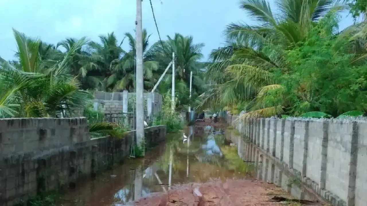 The incident took place in the style of missing the road in Mannar and missing the bowl of comedian Vadivelu !!!