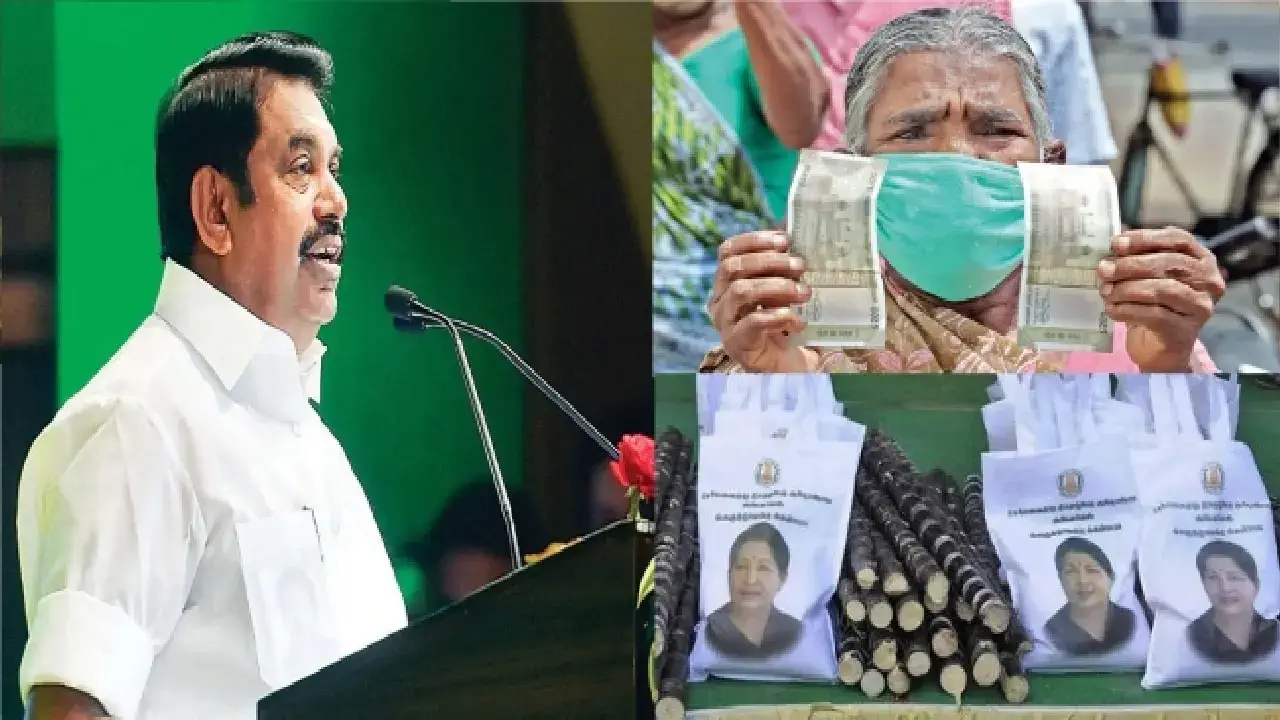 When are the government-issued Pongal prizes and special gift tokens? Tamil Nadu government announcement !!!