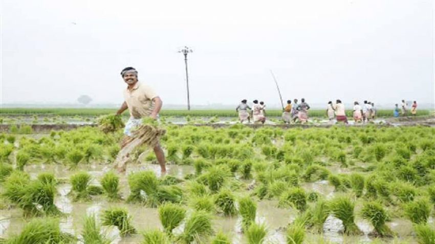 The central government should listen to the struggle of the farmers - Actor Karthi