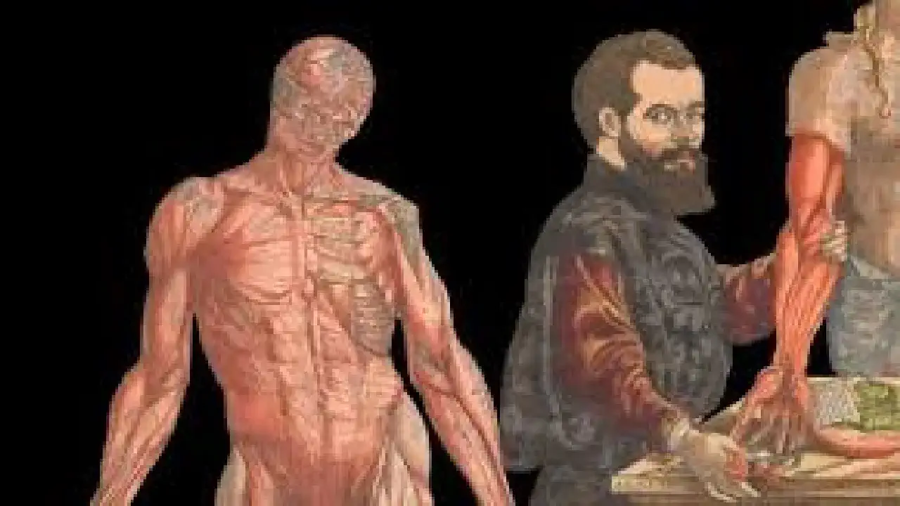 The scientific genius who first created the human skeleton in this world