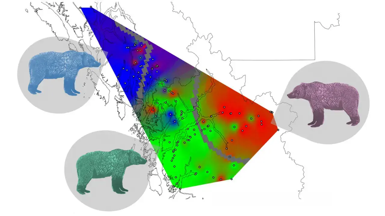 Mind-blowing - Grizzly bear DNA maps onto Indigenous language families