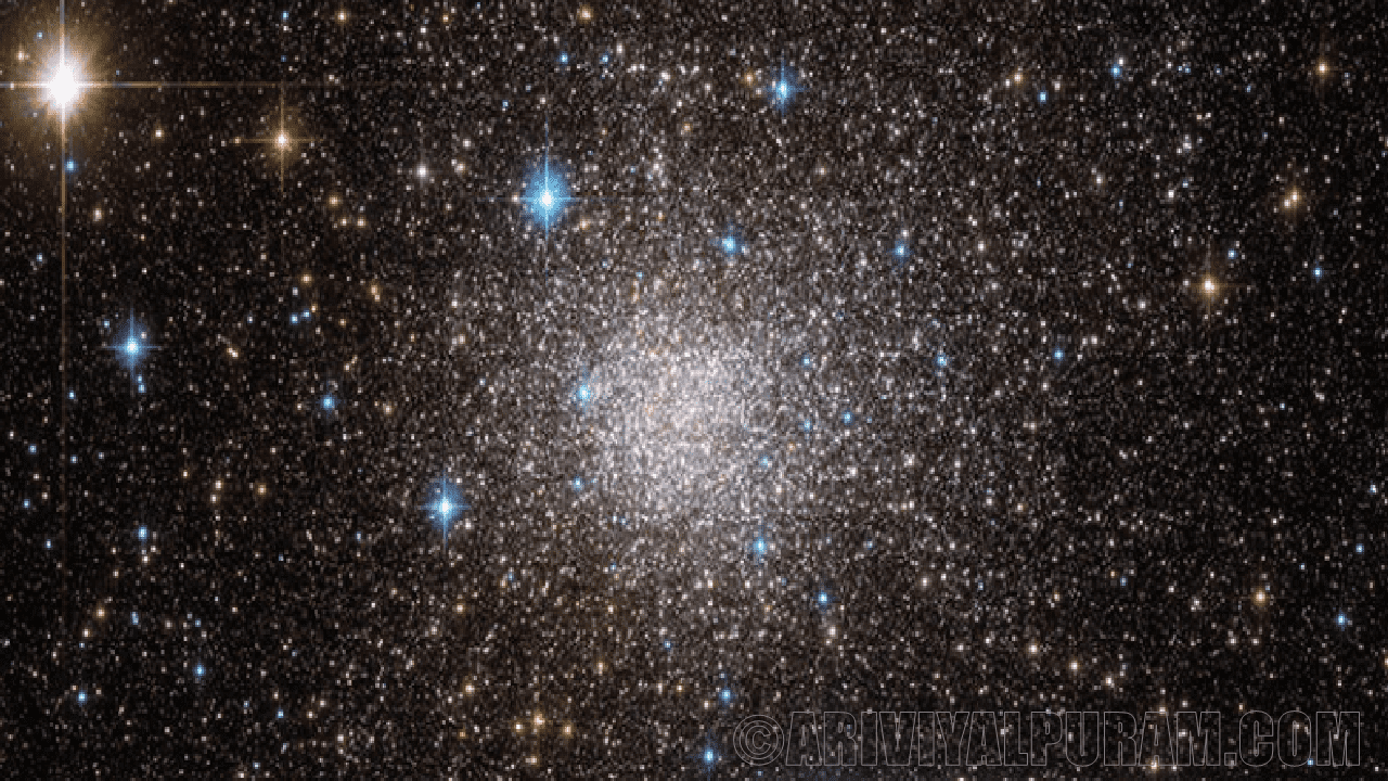 Neutron star cluster