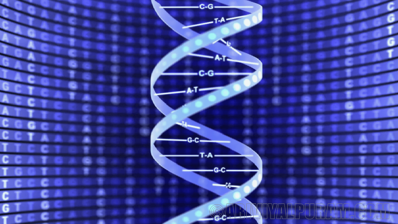 DNA is a helix