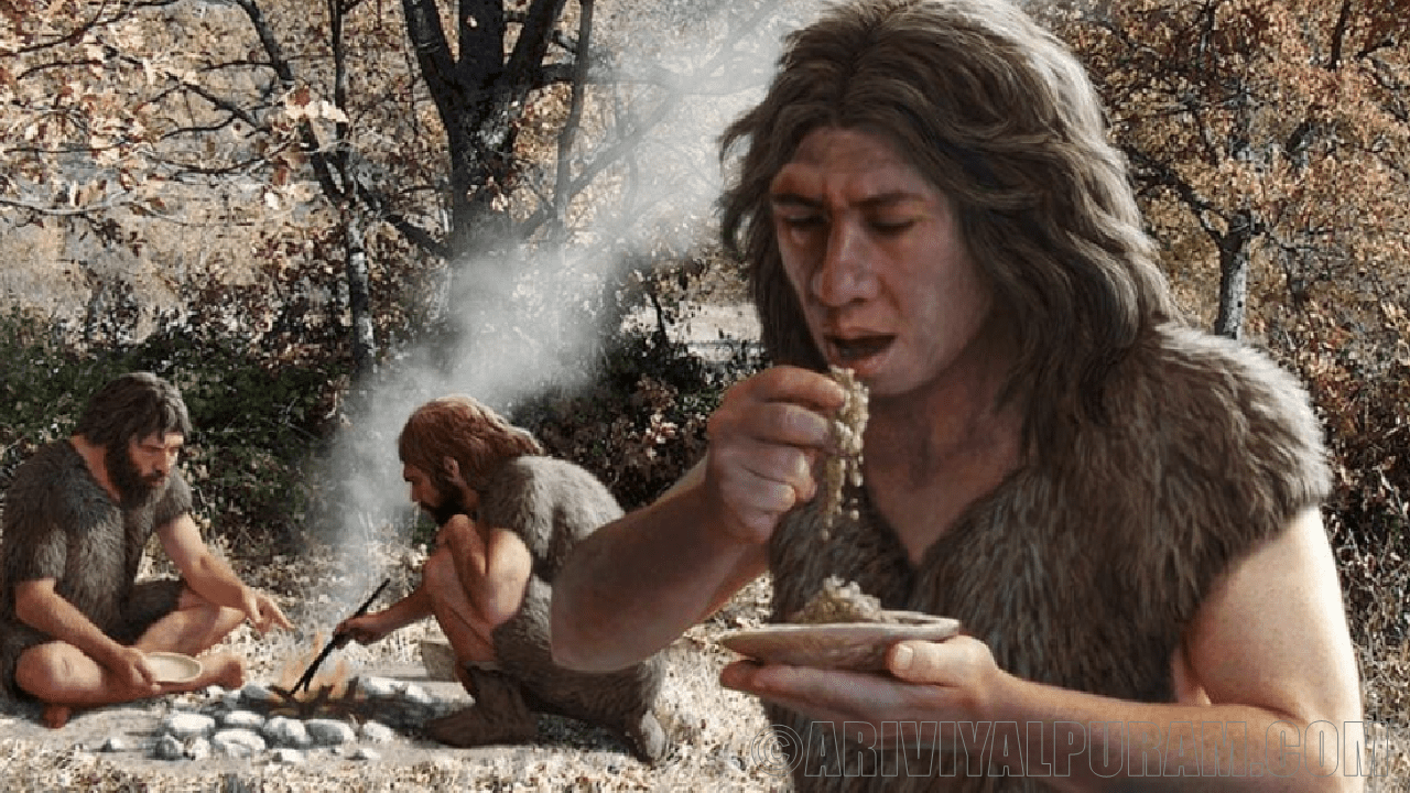 Food of homo sapiens