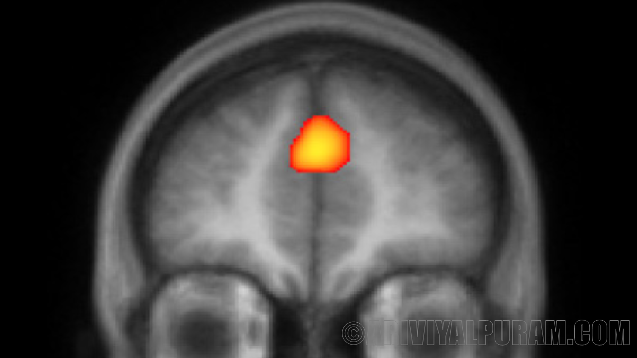 A brain scan that detects people's thoughts