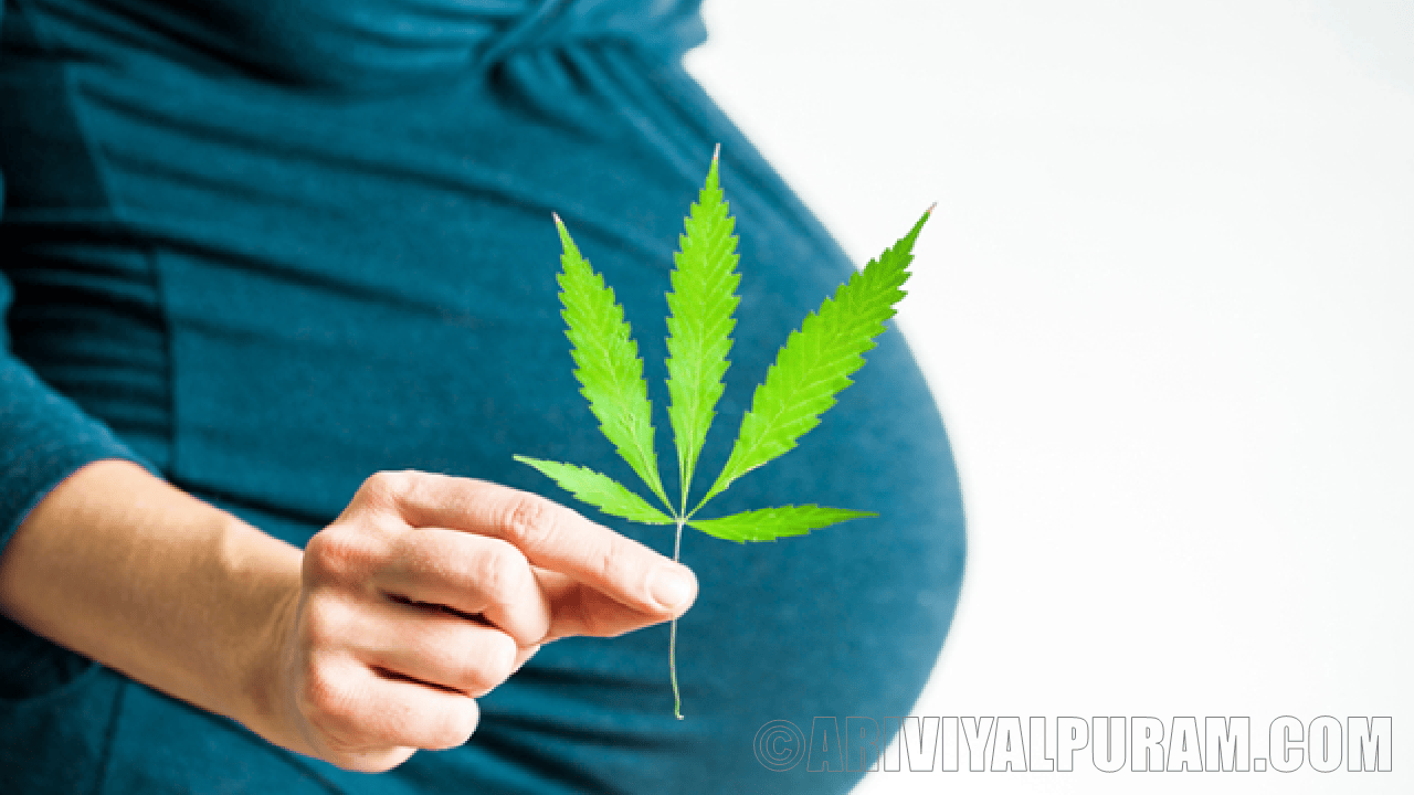 Cannabis affects pregnancy