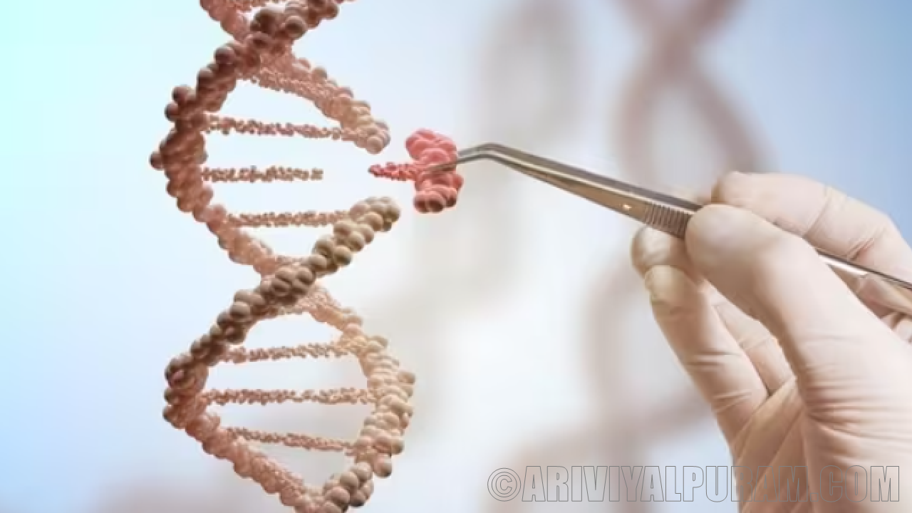 DNA repair can lead to disease