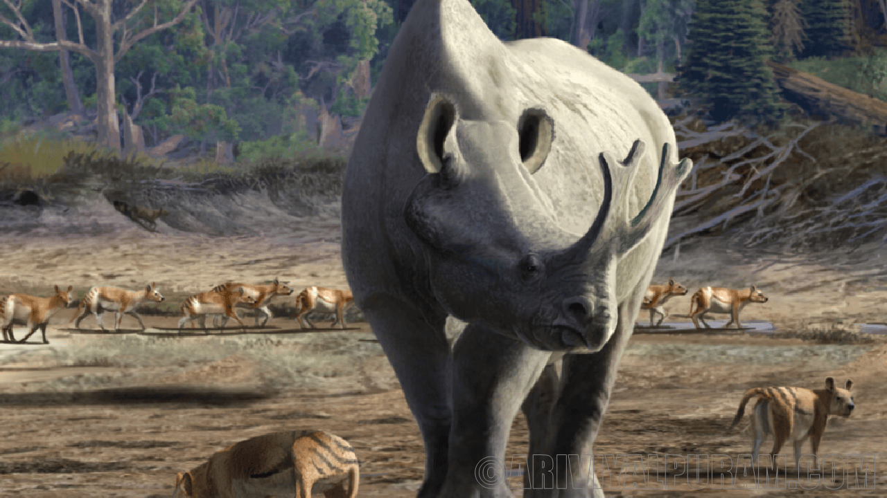 Thunder beast fossils show some big mammals 