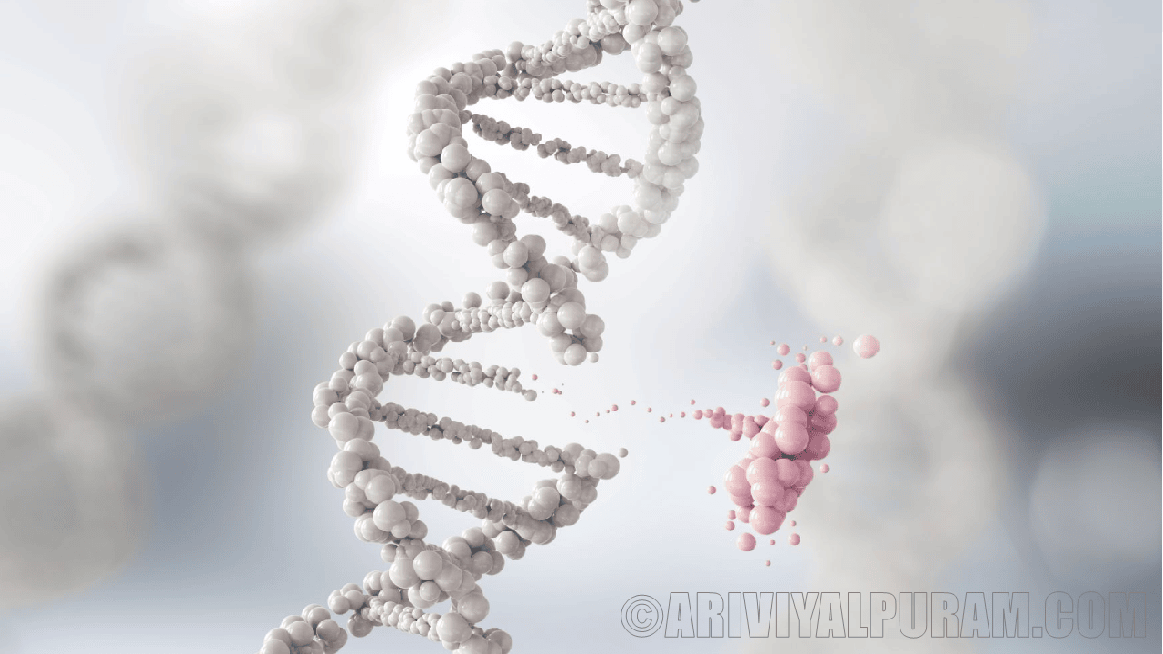 Gene silencing DNA enzyme