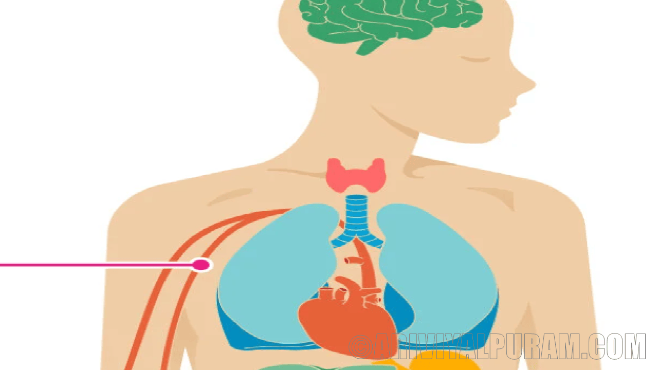 Good cholesterol is harmful to the heart