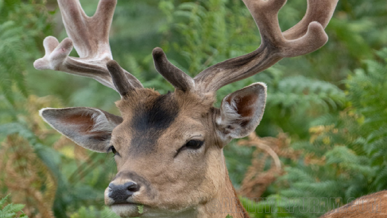 Air pollution monitoring helps biodiversity