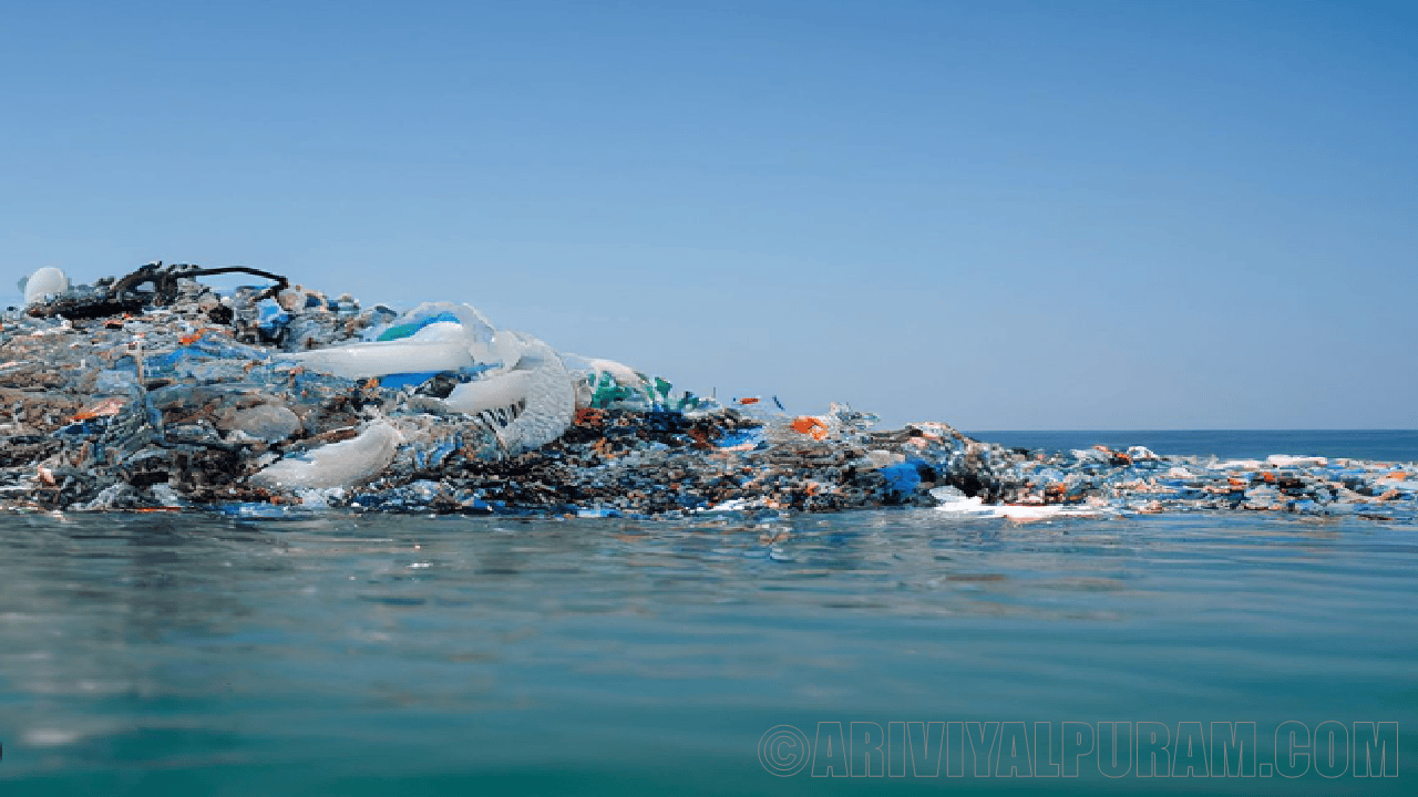 Discovered the great pacific garbage patch