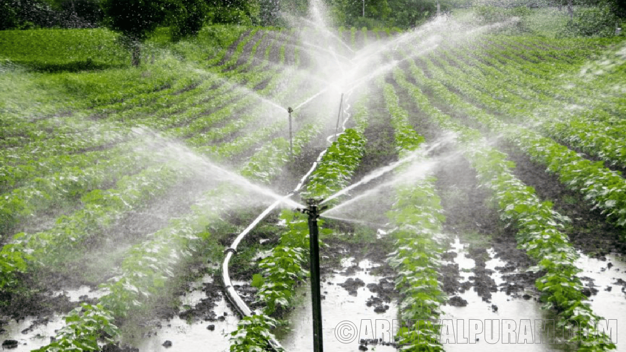 Irrigation change the Earth's axis