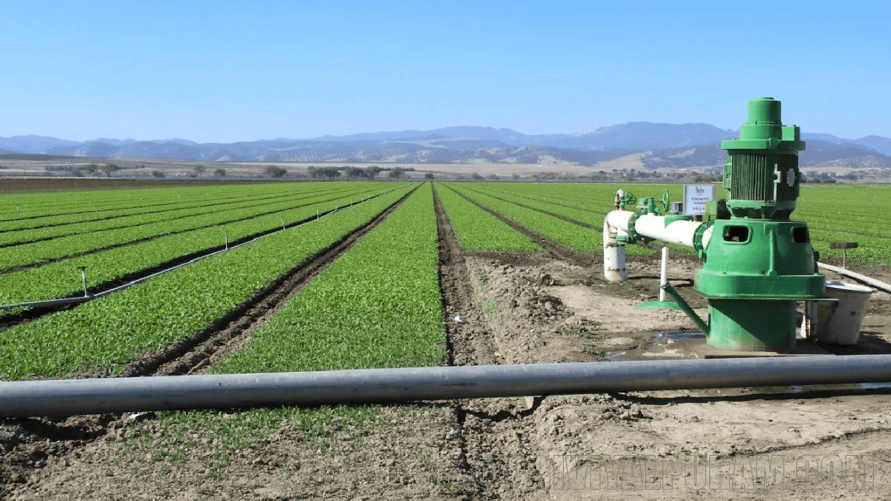 Irrigation change the Earth's axis