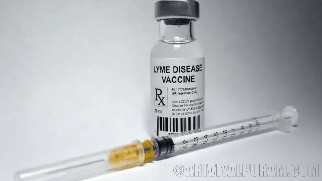 Lyme vaccine protects people