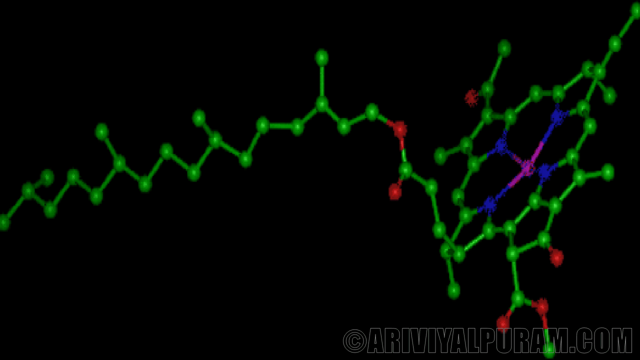 Photon in photosynthesis