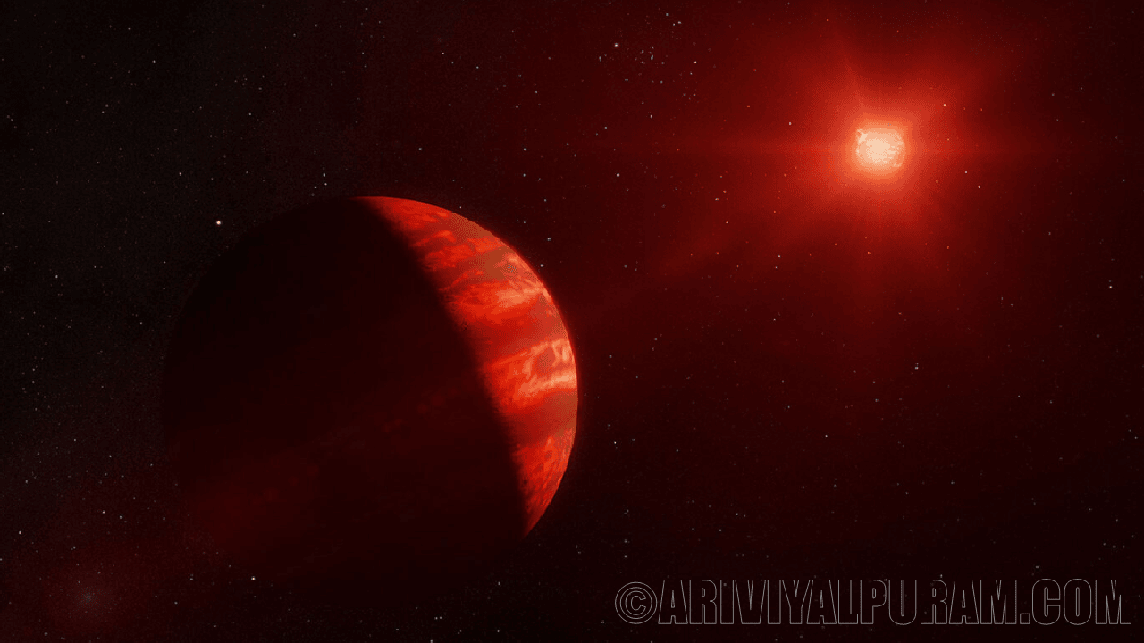  The jupiter sized planets