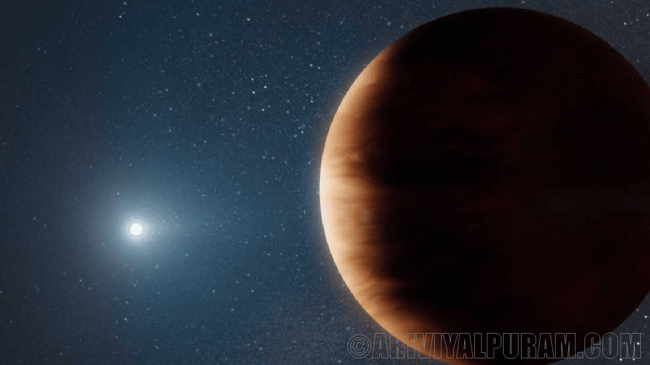  The jupiter sized planets