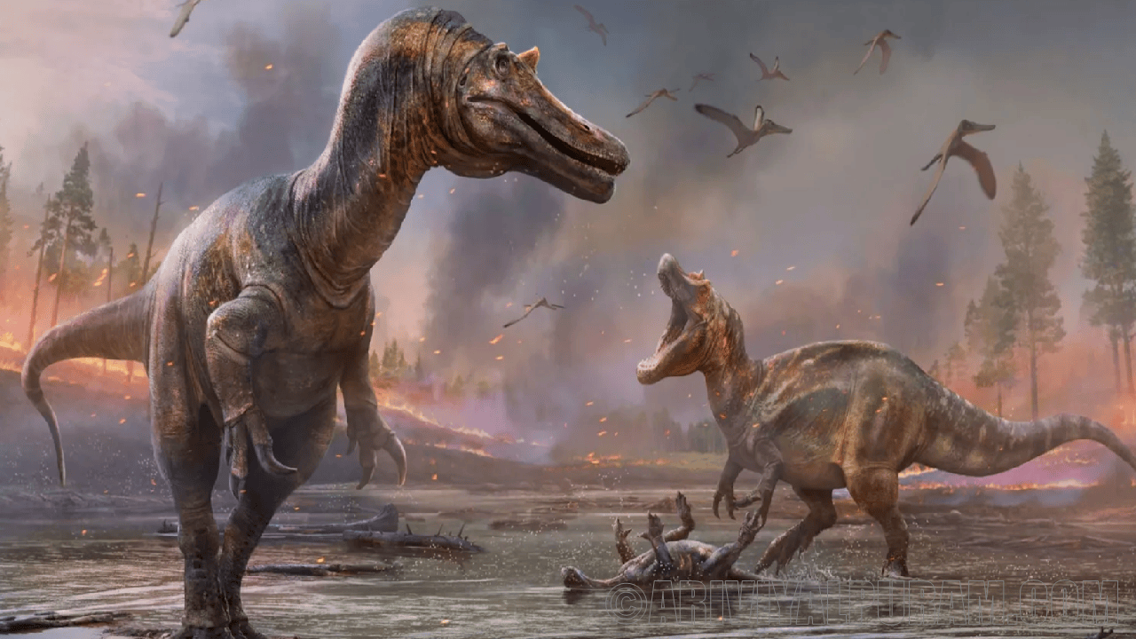 The rise of the dinosaurs