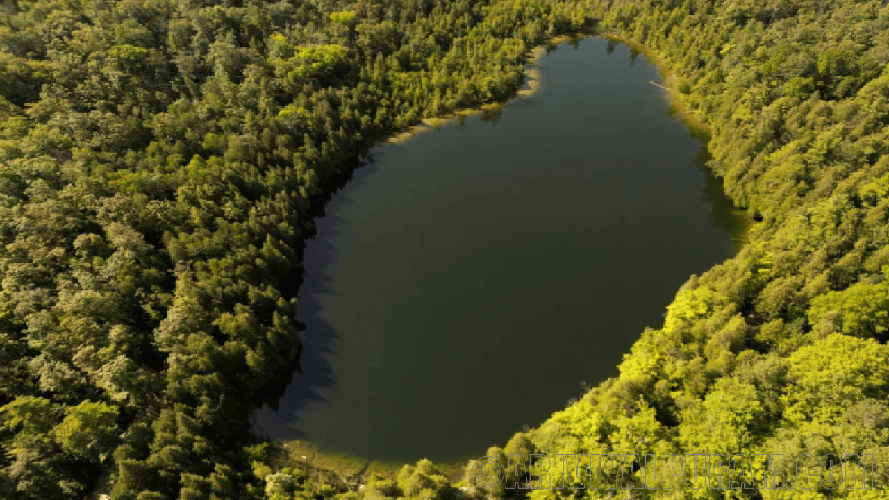 Crawford lake marks the anthropocene