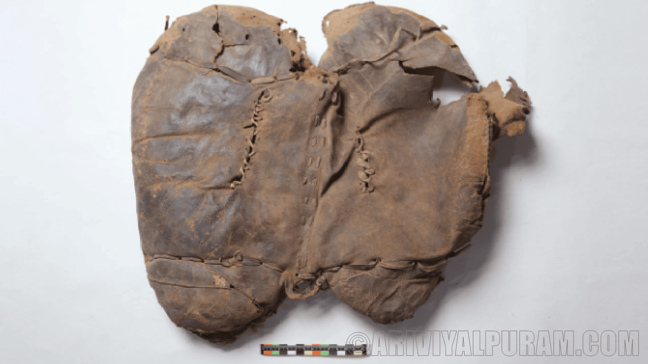 Discovered oldest horse riding saddle