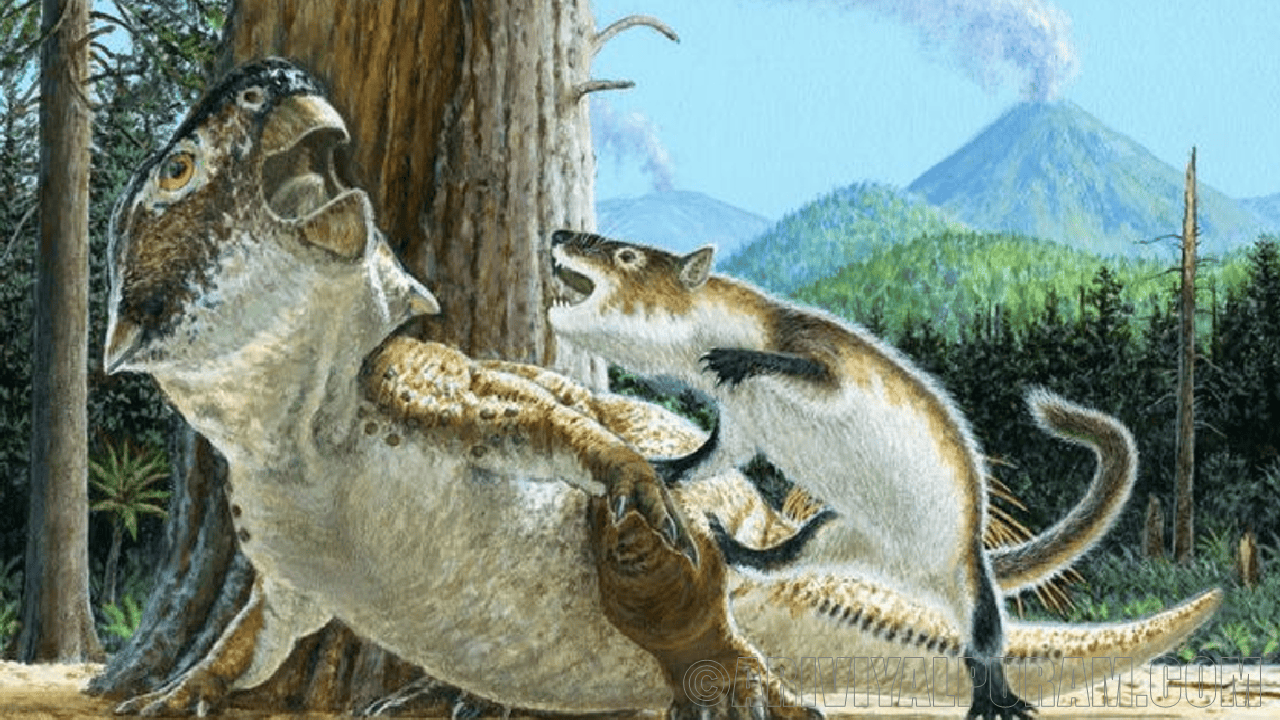 Mammal bites dinosaur