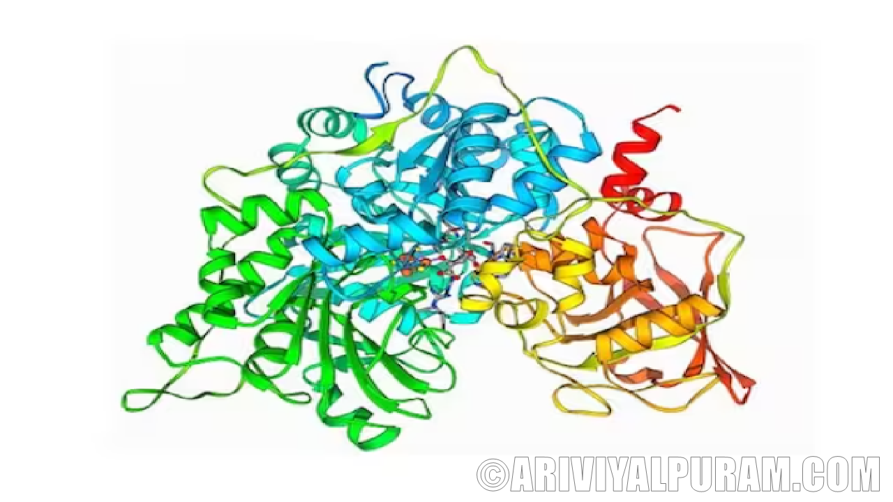 Annom lists proteins