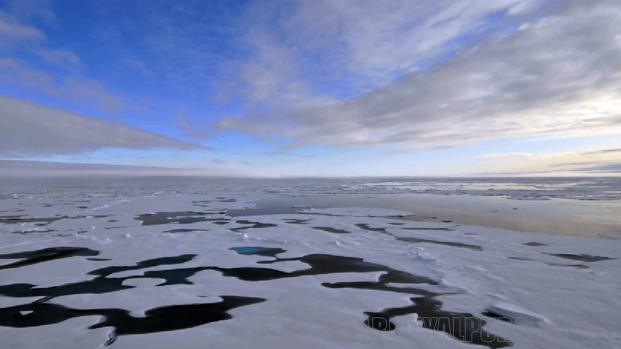 Monitor arctic sea ice