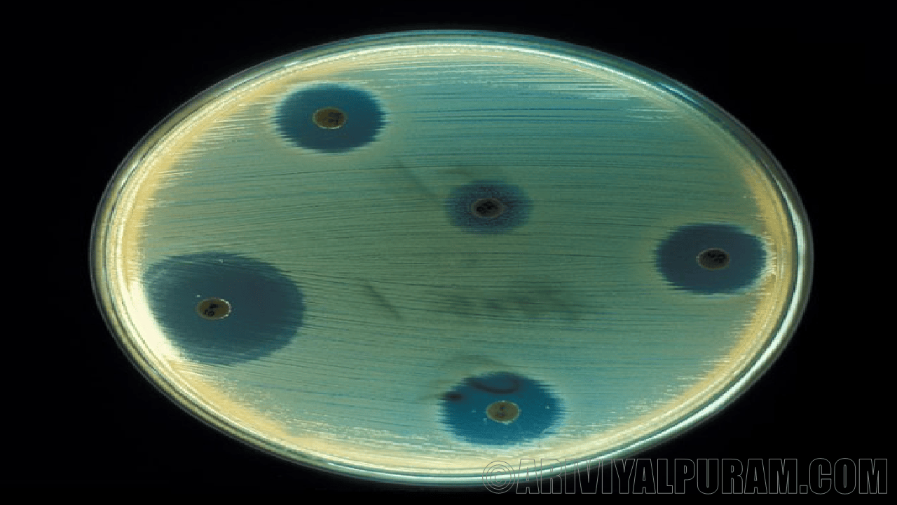 Synthetic antibiotics