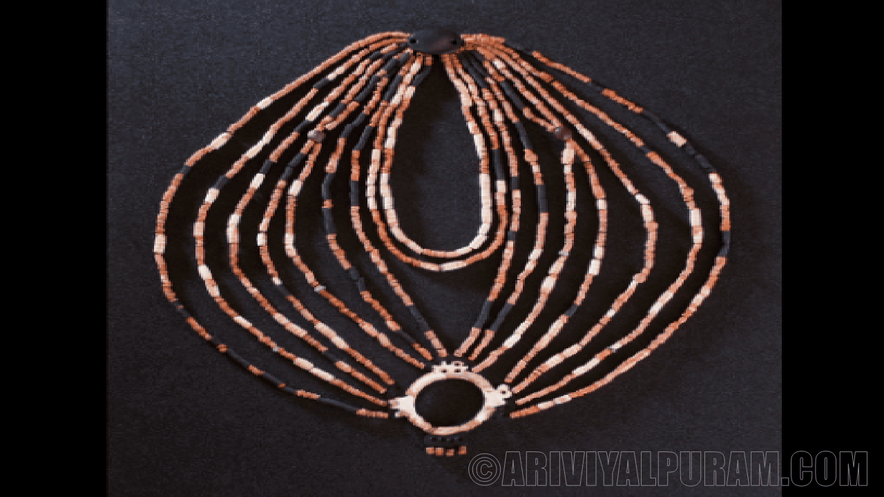 The necklace shows social complexity of farmers 