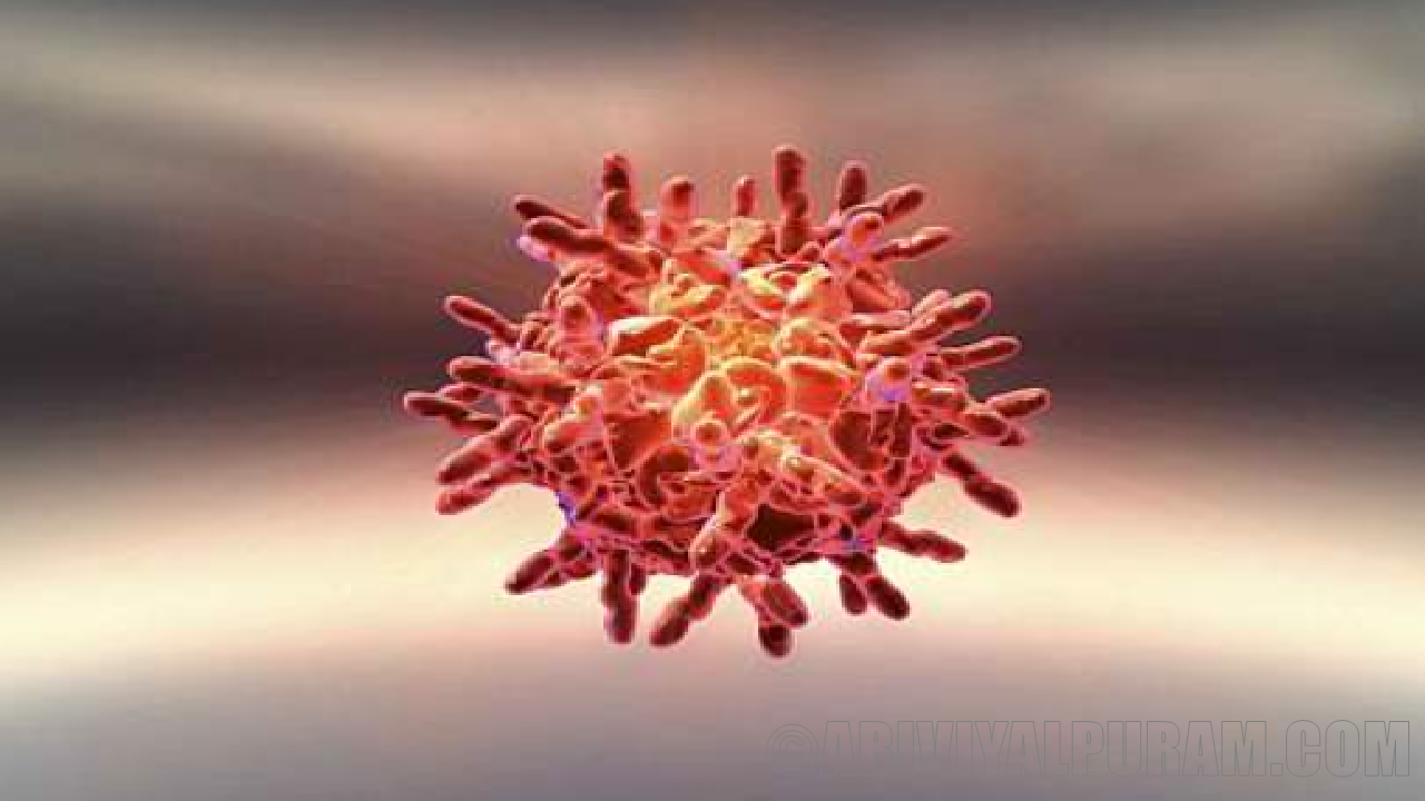 Virus linked to deadly blood clotting